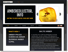Tablet Screenshot of ambercollector.info
